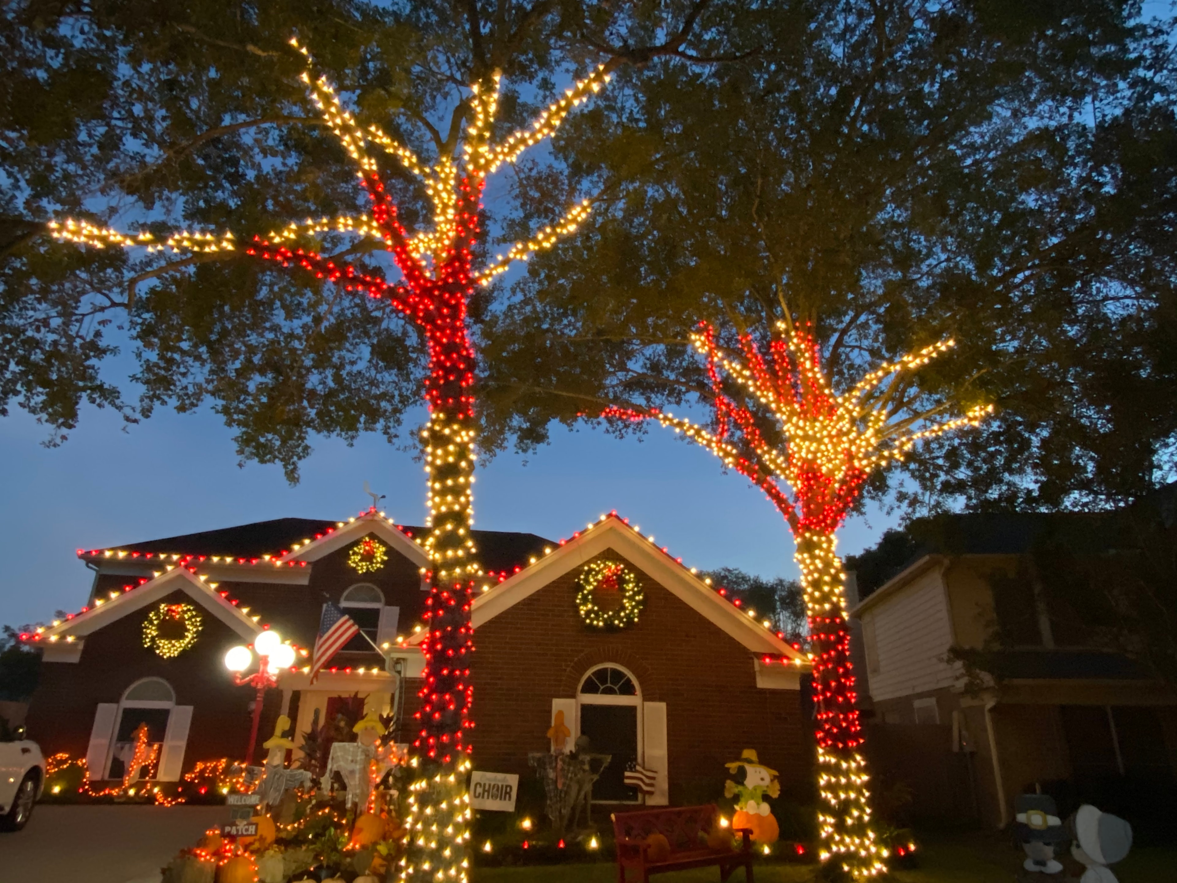 Red & White Christmas lights